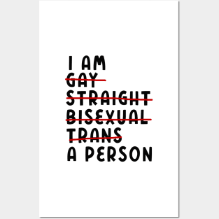 I Am Gay, Straight, Bisexual, Trans, A Person Posters and Art